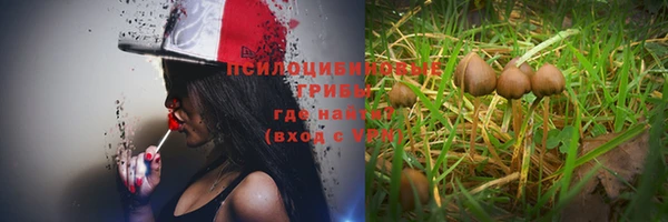 винт Лагань