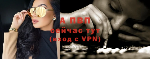 гидра Лихославль