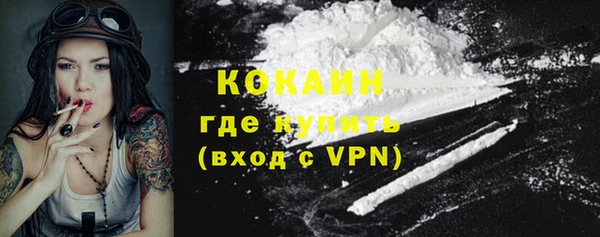 трава Магас