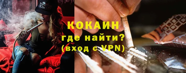 трава Магас